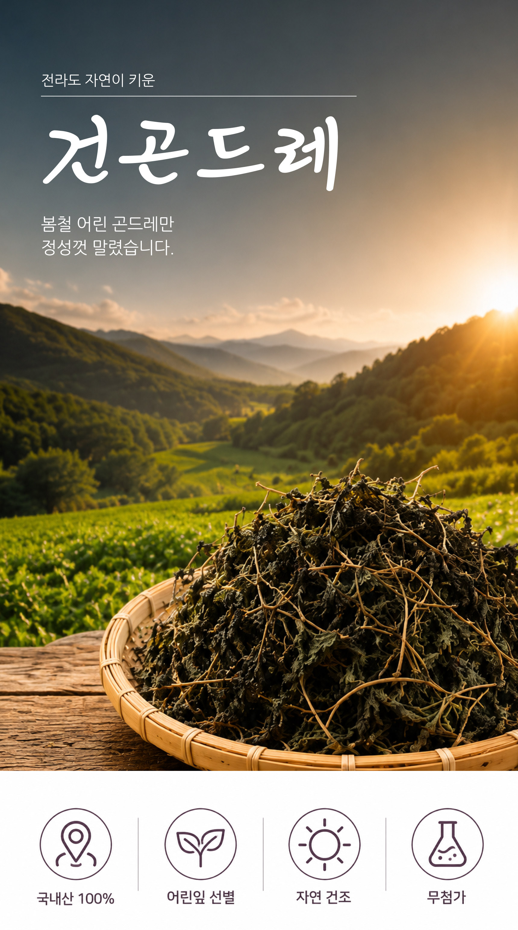 건곤드레 상세 이미지