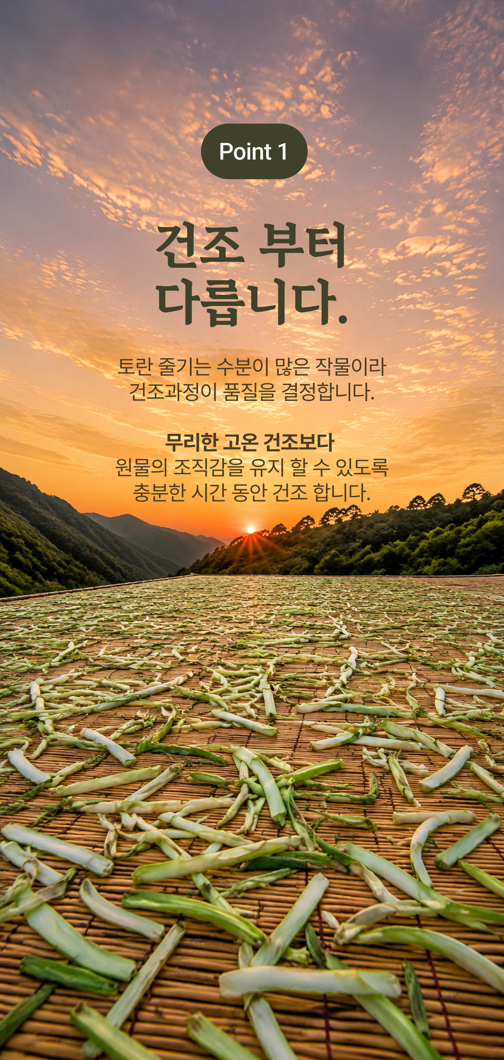 토란줄기 상세 이미지