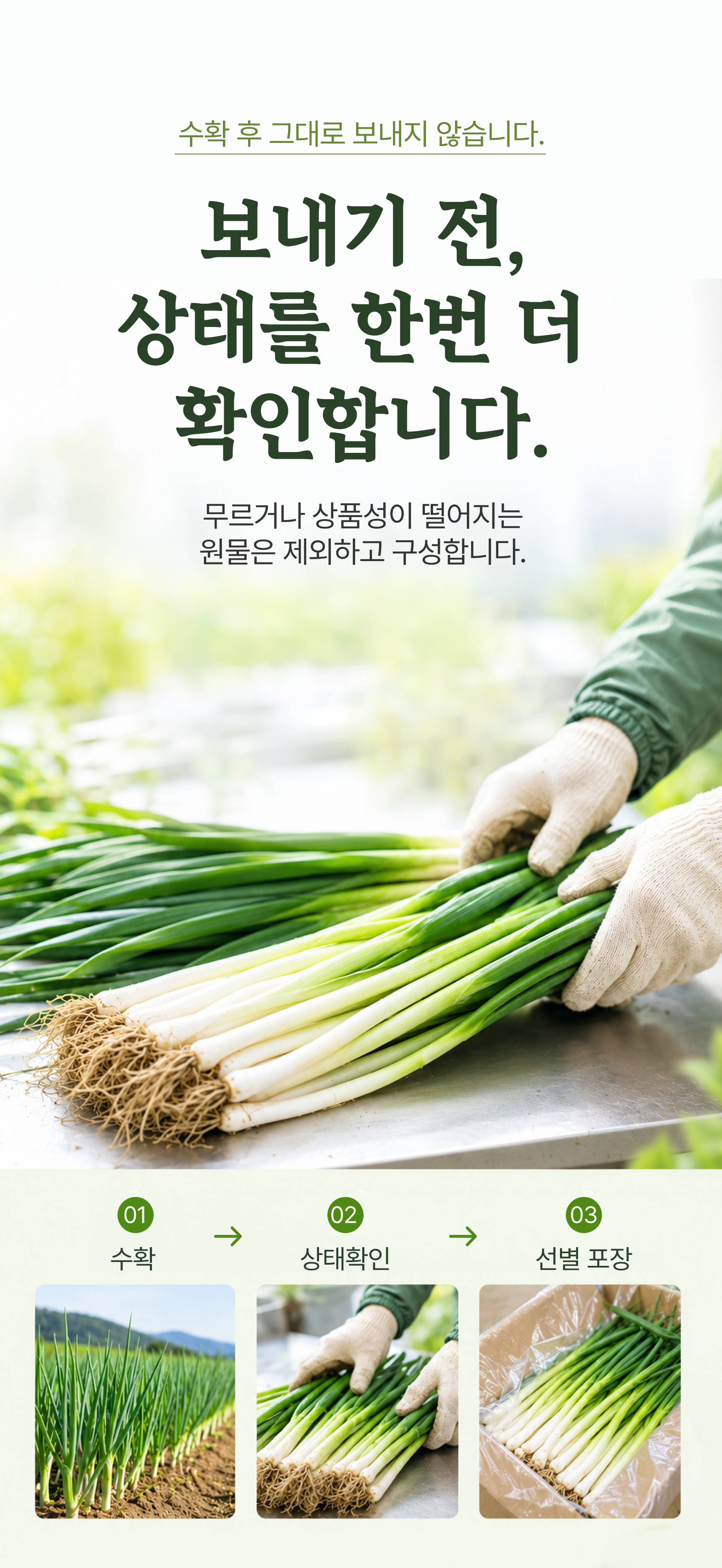 흙파 상세 이미지