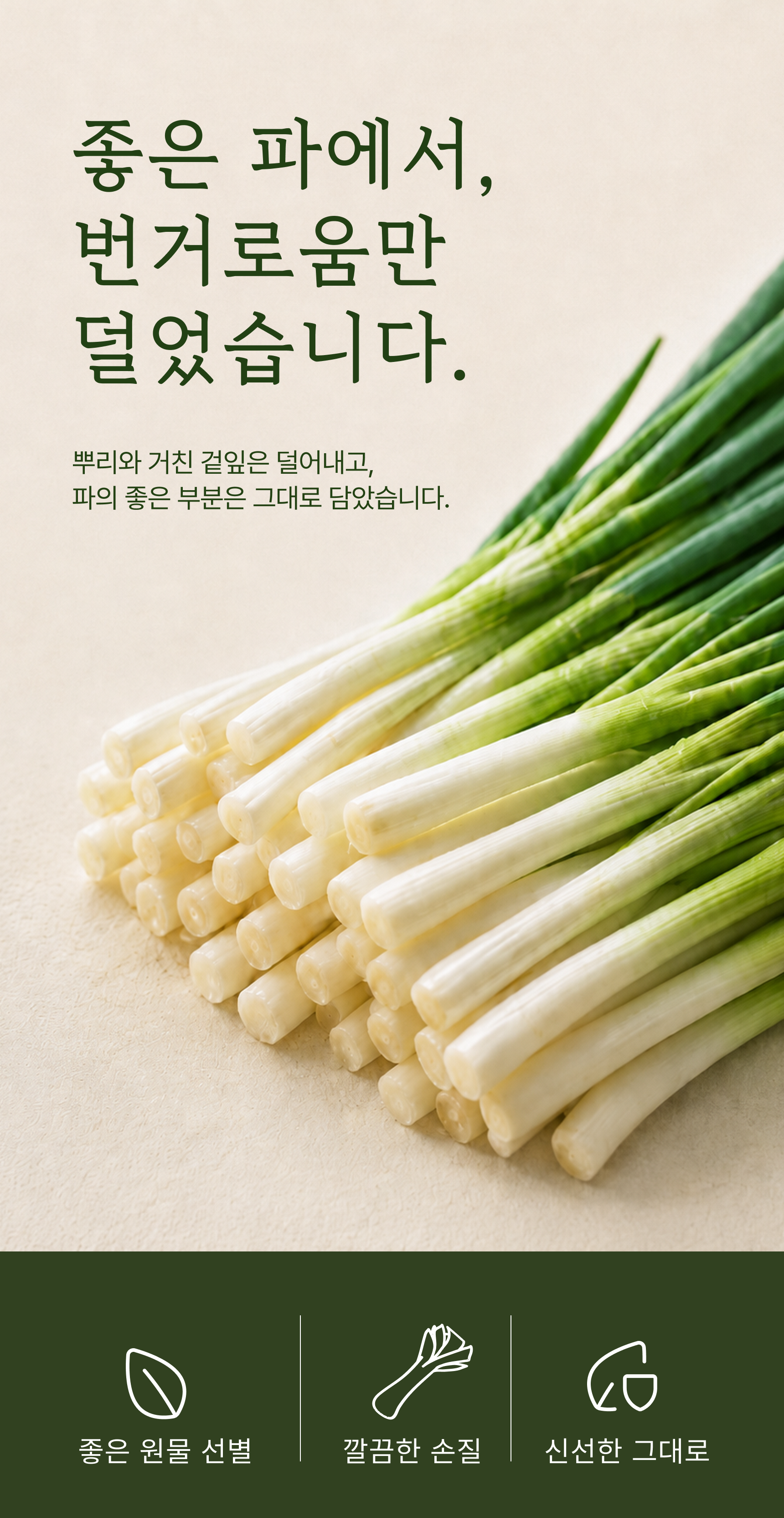 깐파 상세 이미지