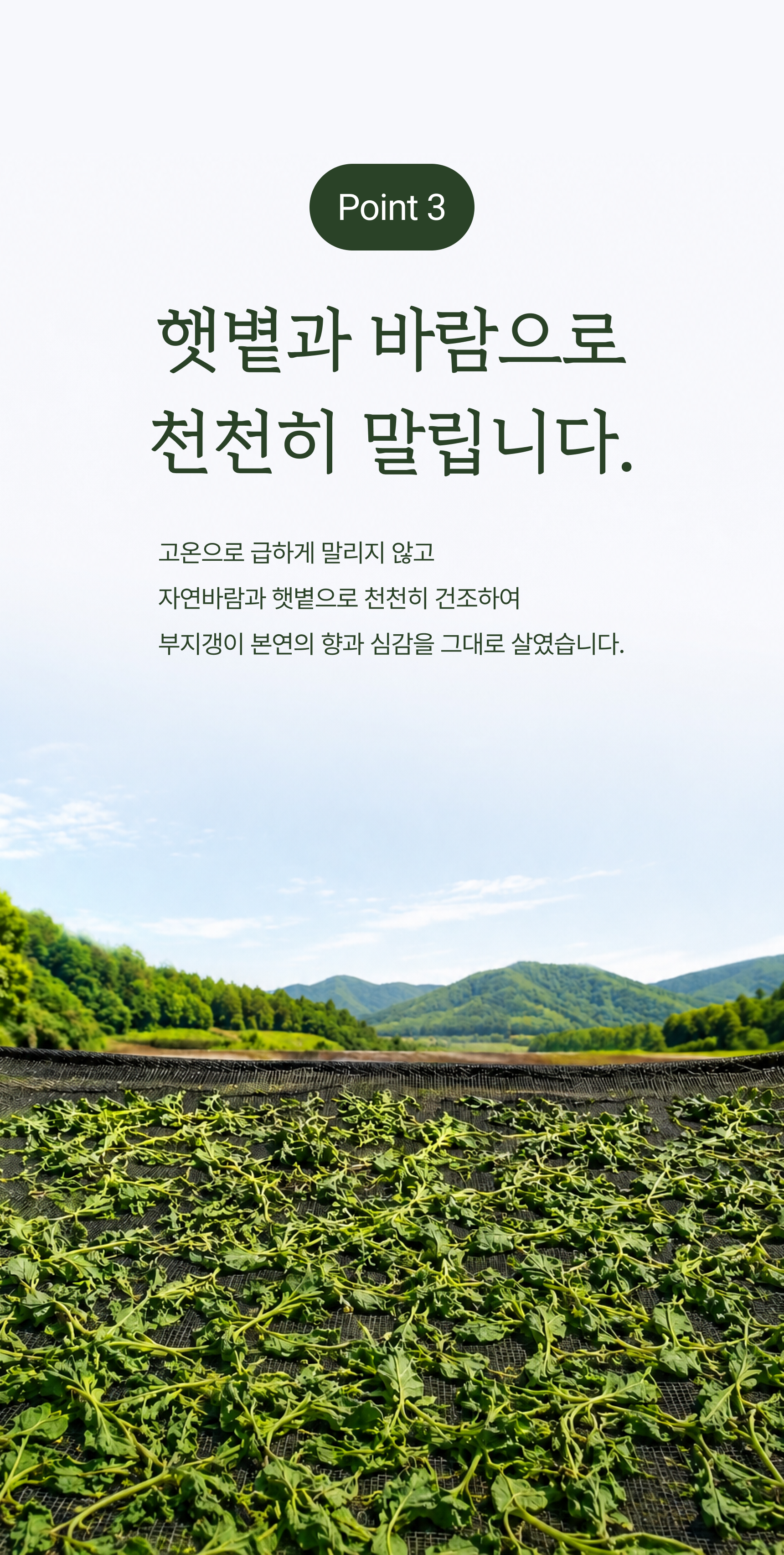 부지갱이 상세 이미지