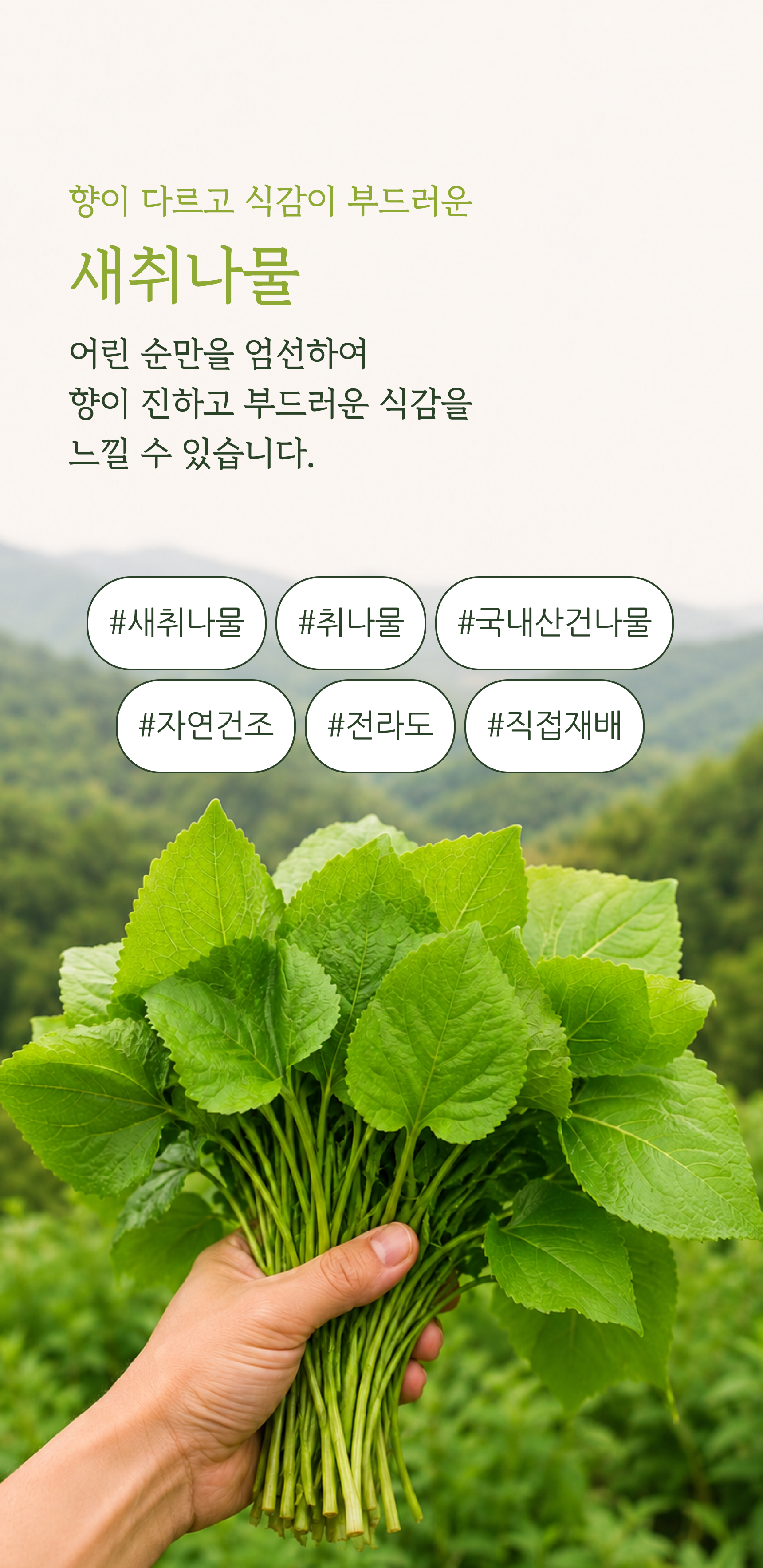 새취나물 상세 이미지