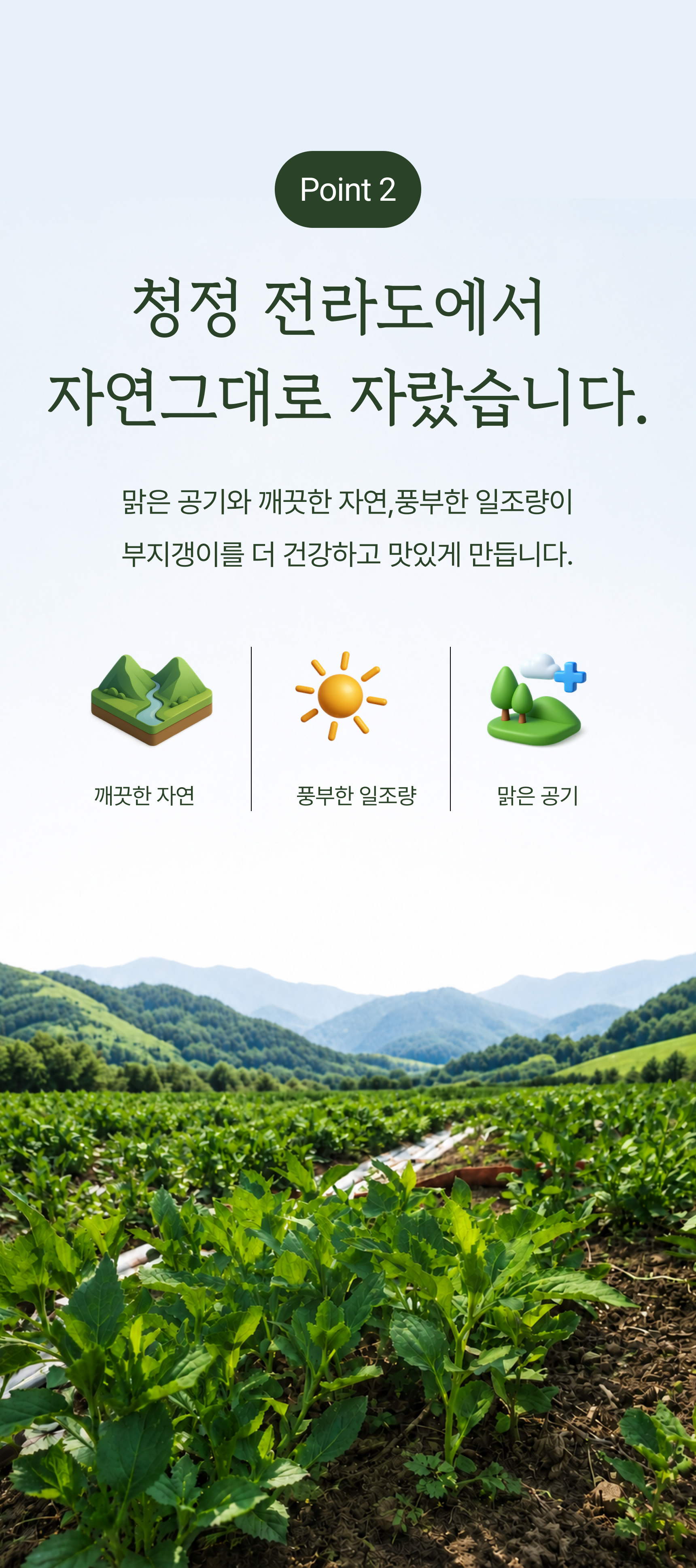 부지갱이 상세 이미지