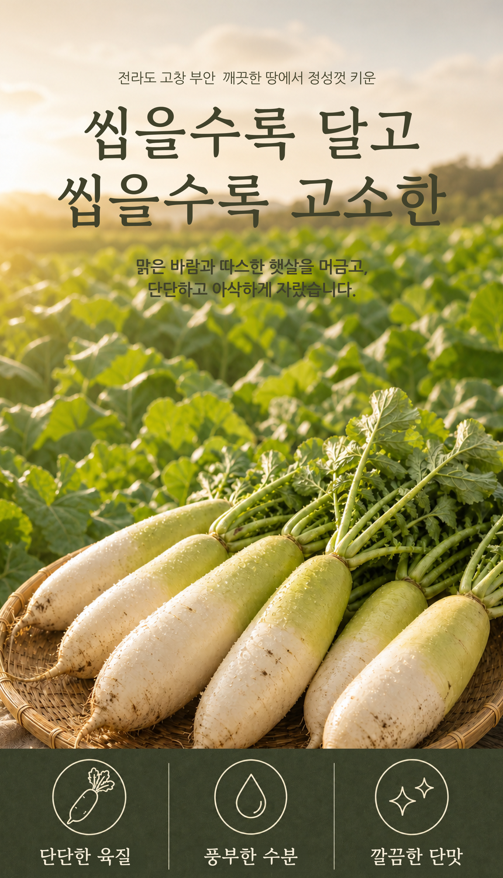 무말랭이 상세 이미지
