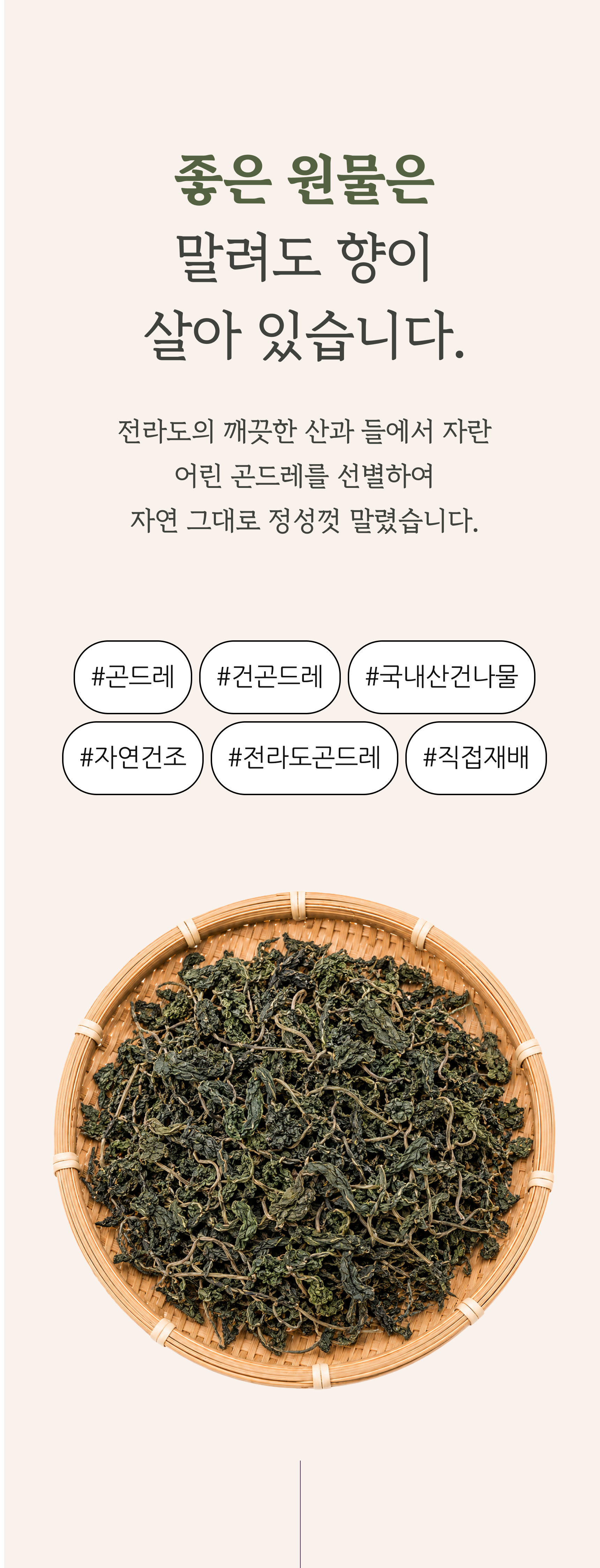 건곤드레 상세 이미지