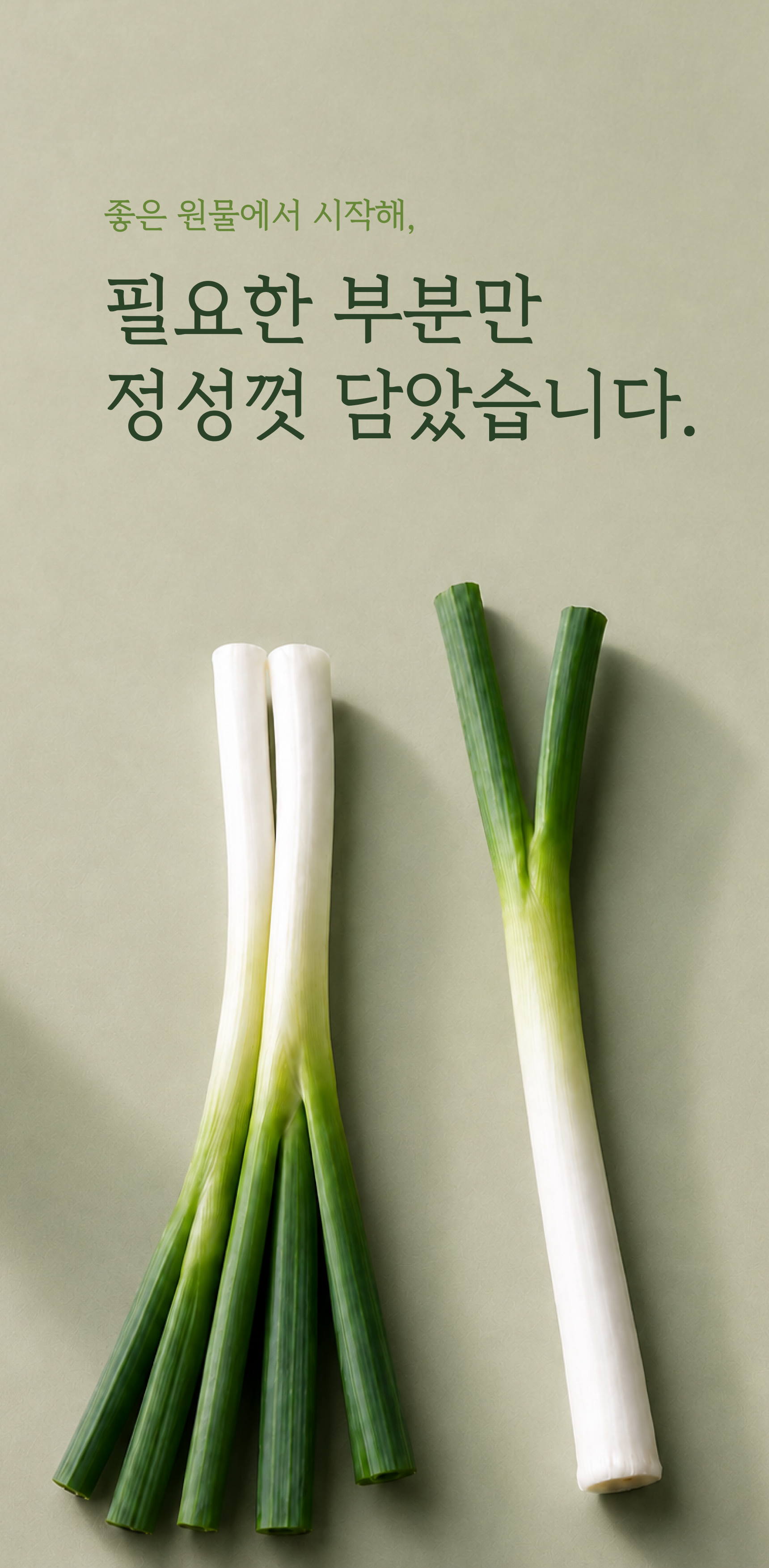 깐파 상세 이미지