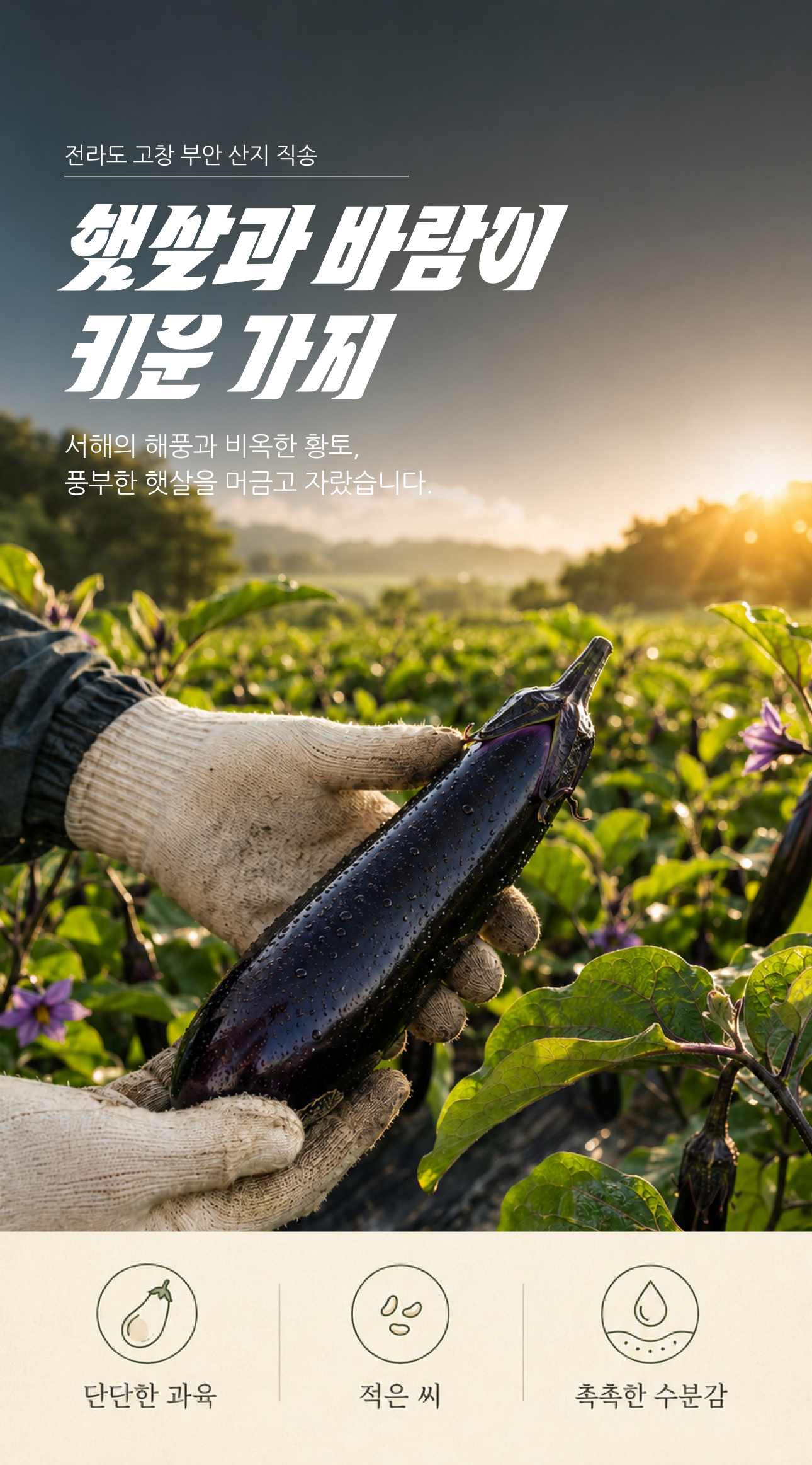건가지 상세 이미지