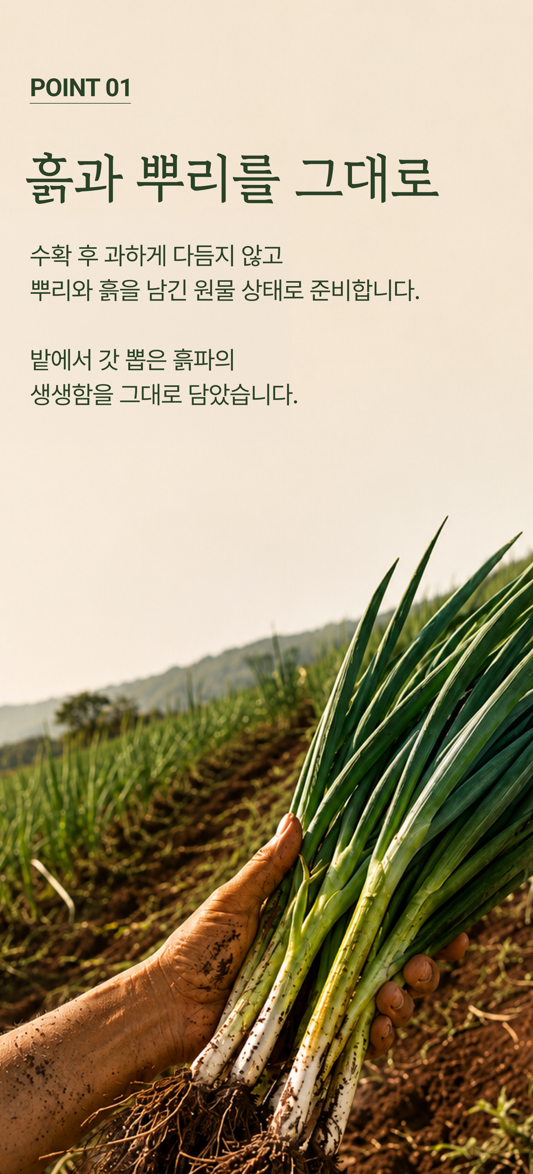 흙파 상세 이미지