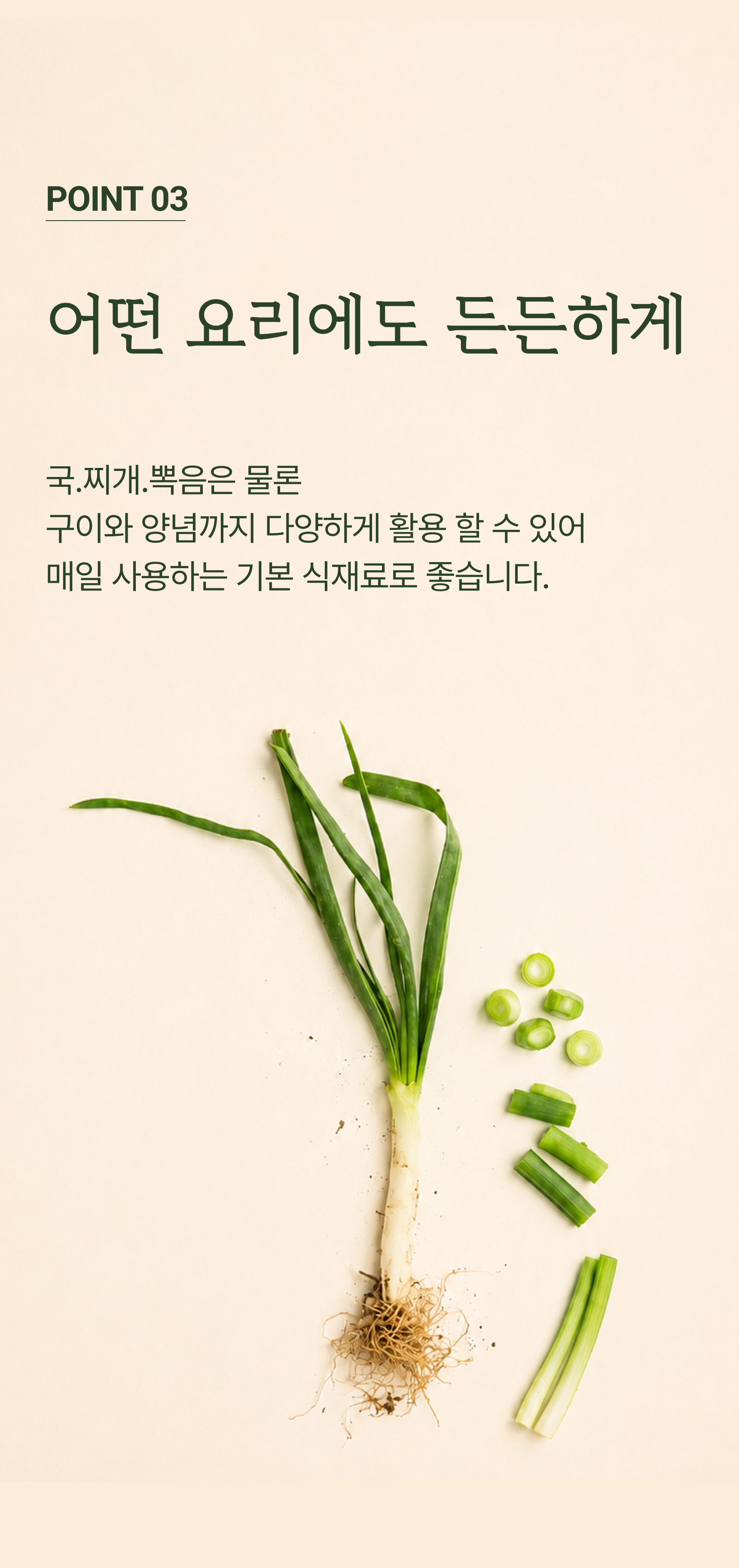 흙파 상세 이미지