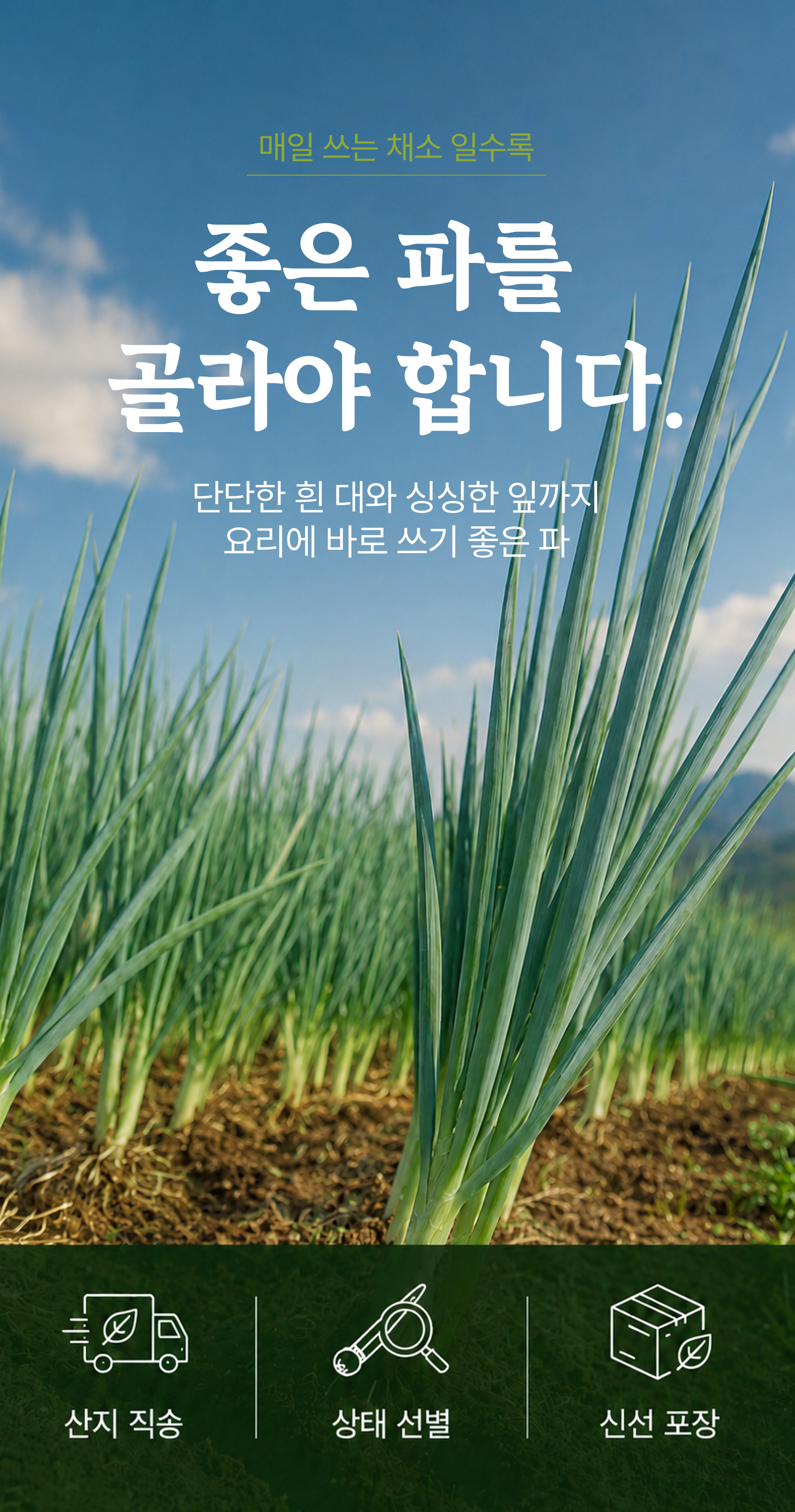 흙파 상세 이미지
