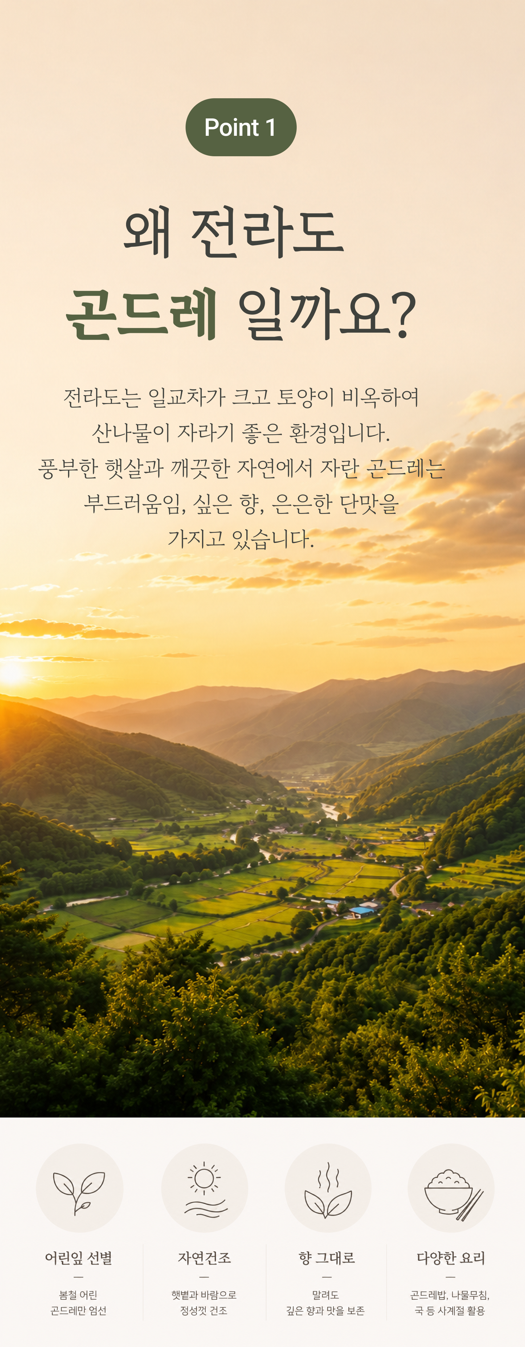 건곤드레 상세 이미지