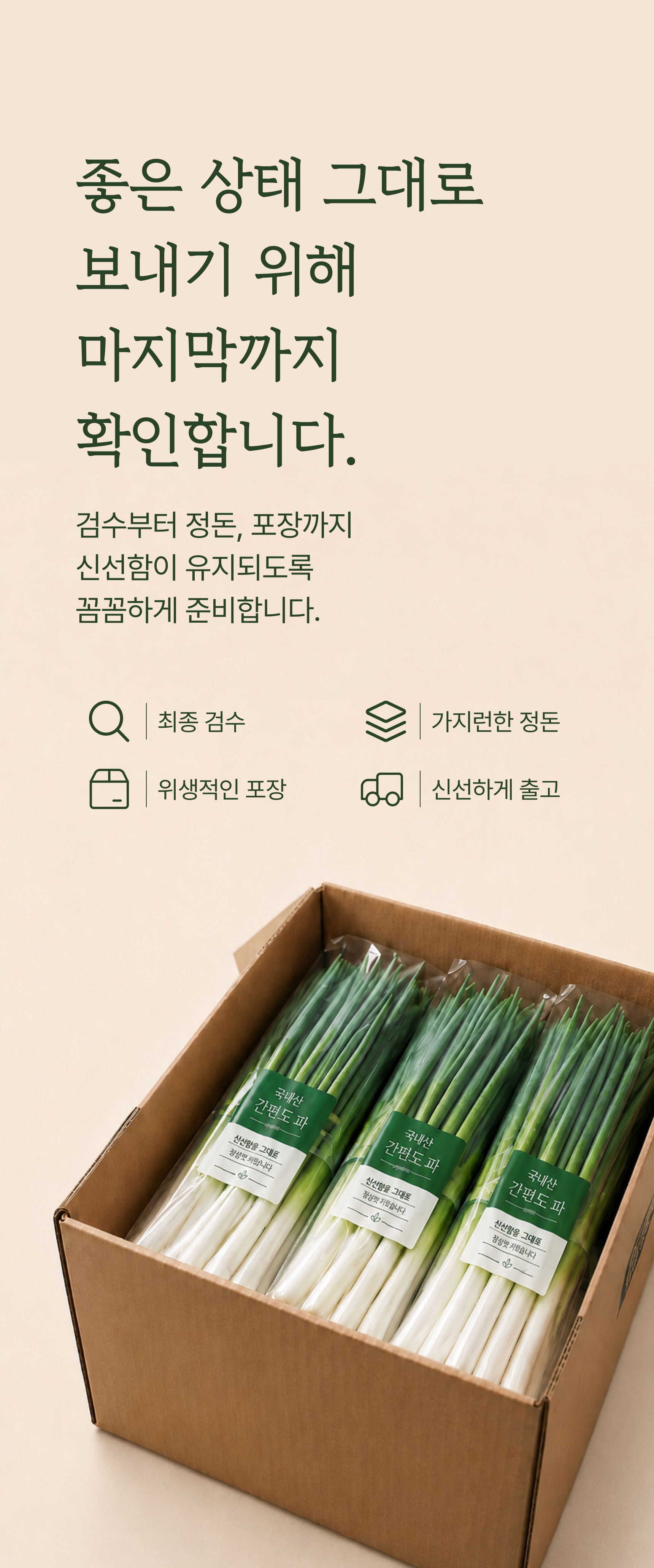 깐파 상세 이미지