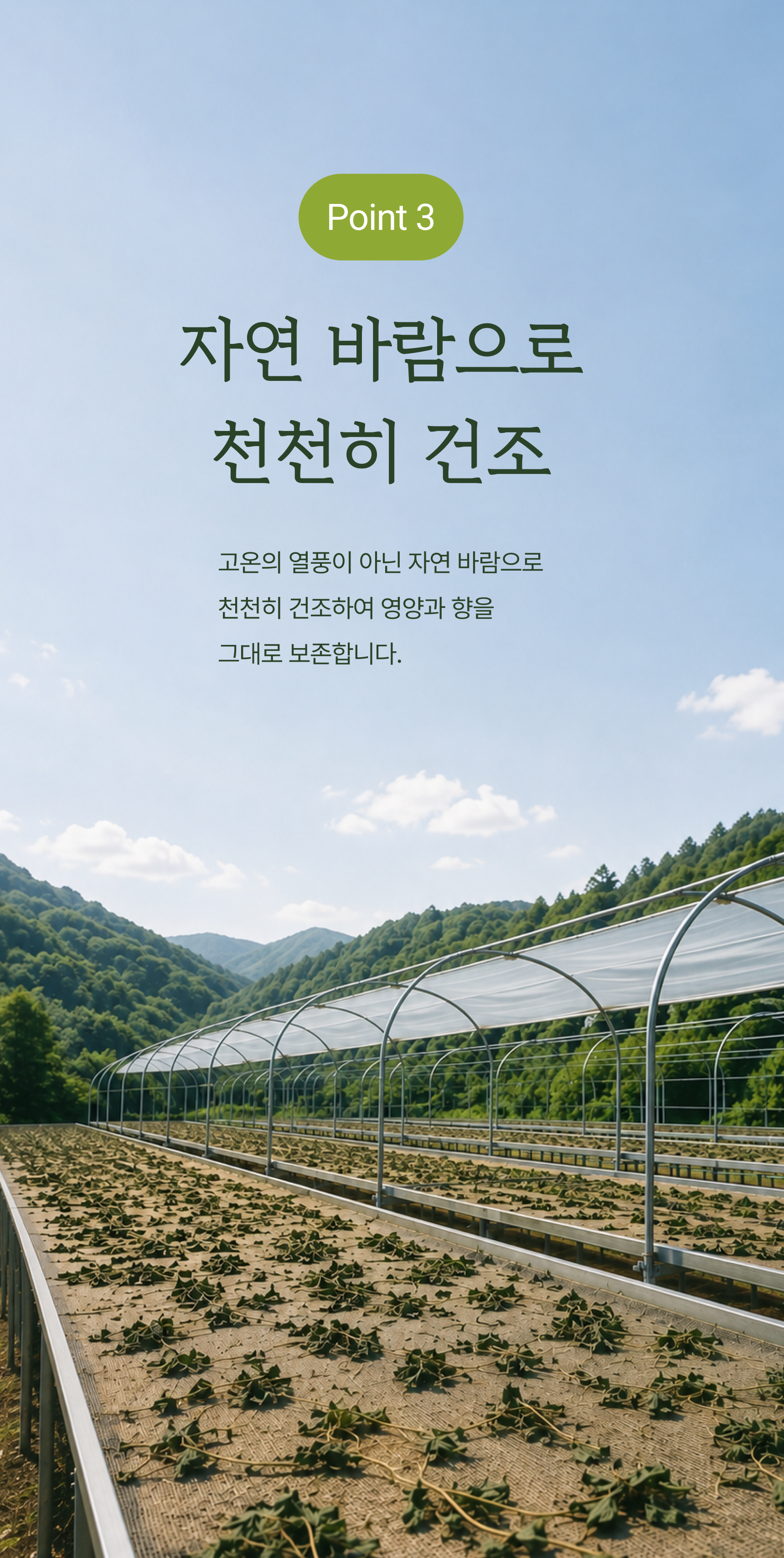 새취나물 상세 이미지