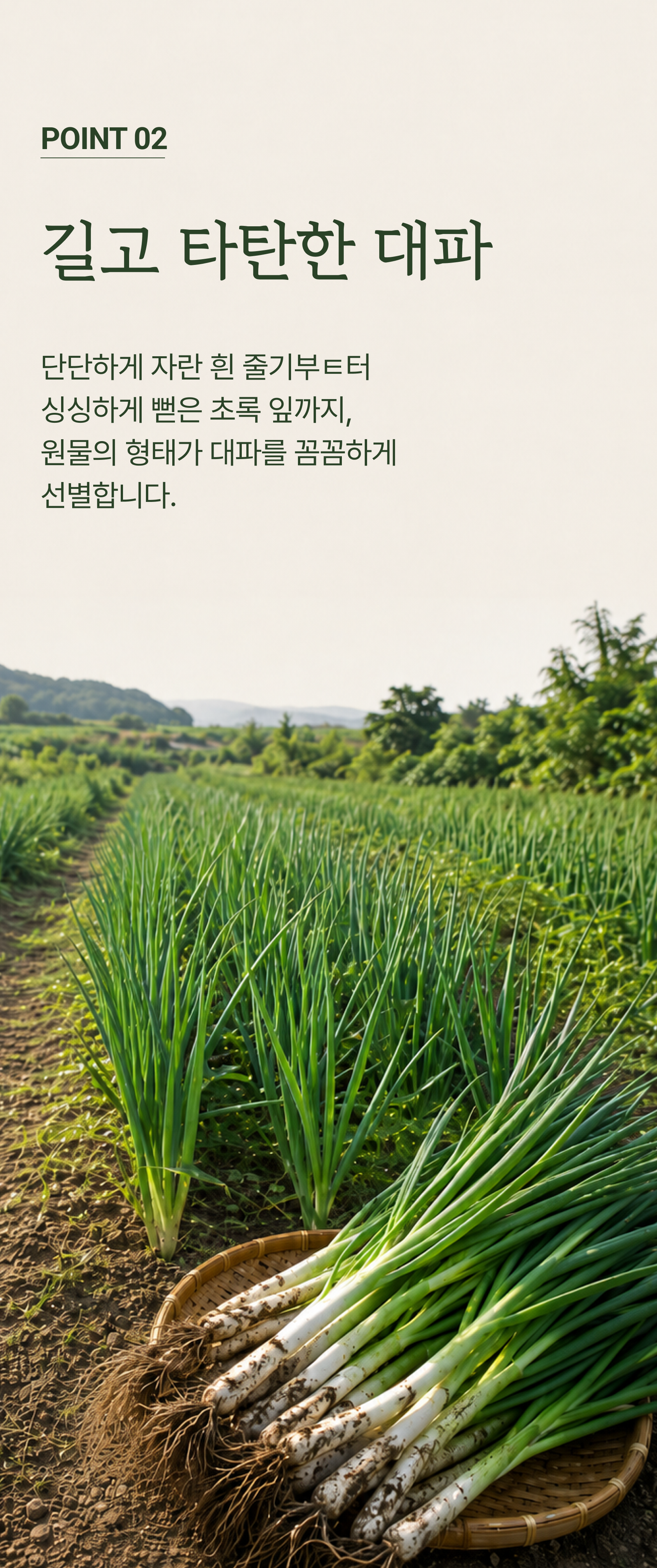 흙파 상세 이미지