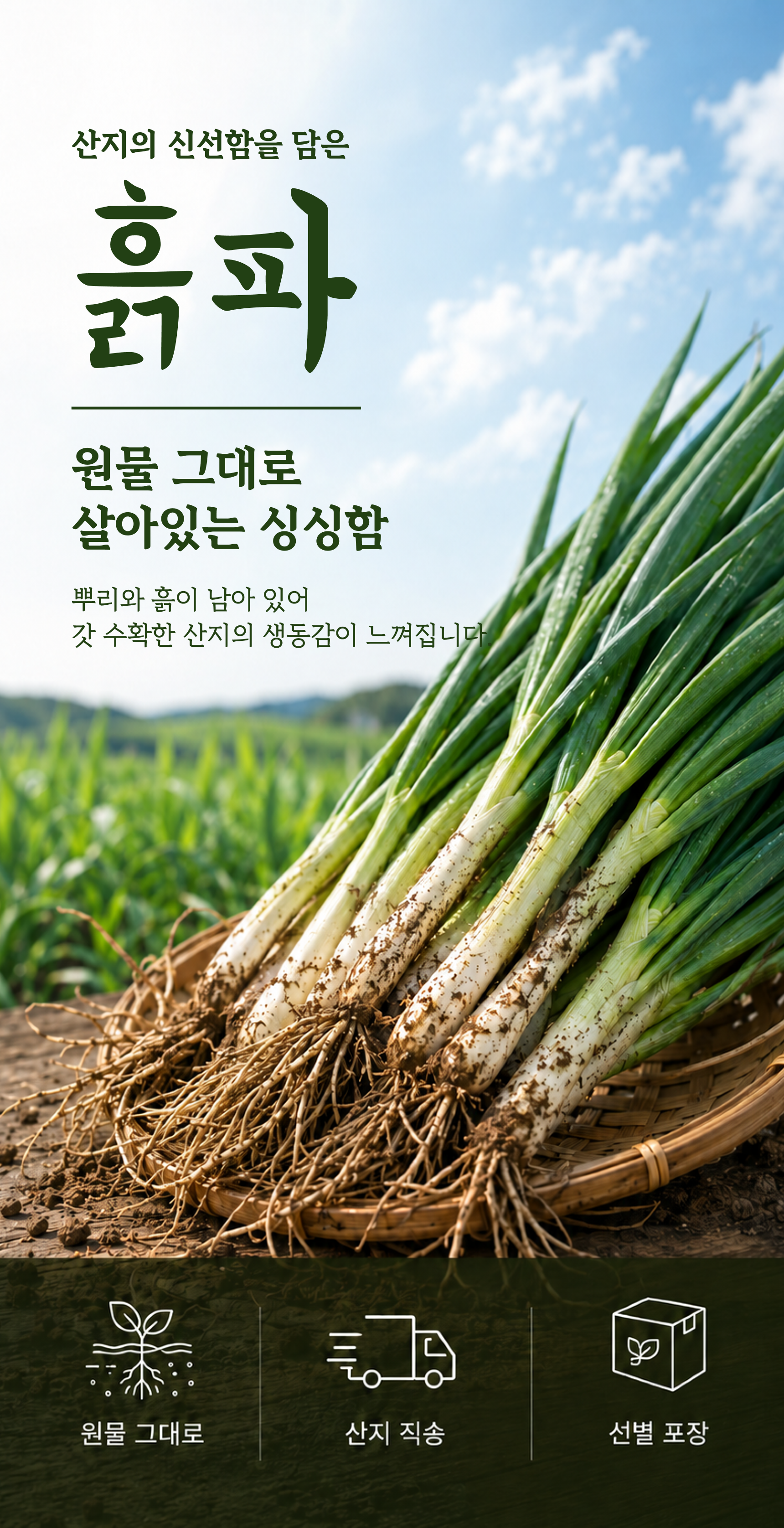 흙파 상세 이미지