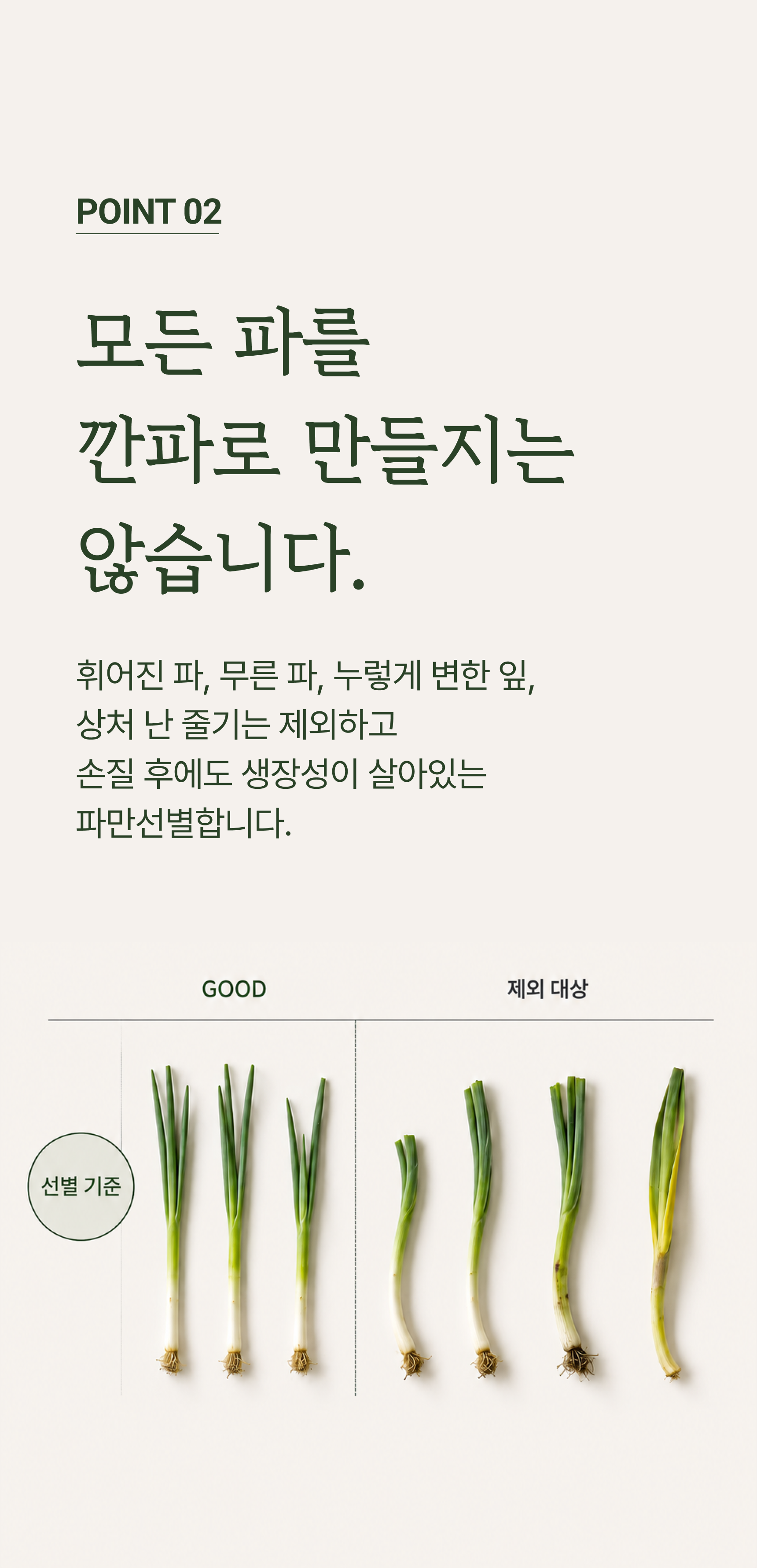 깐파 상세 이미지