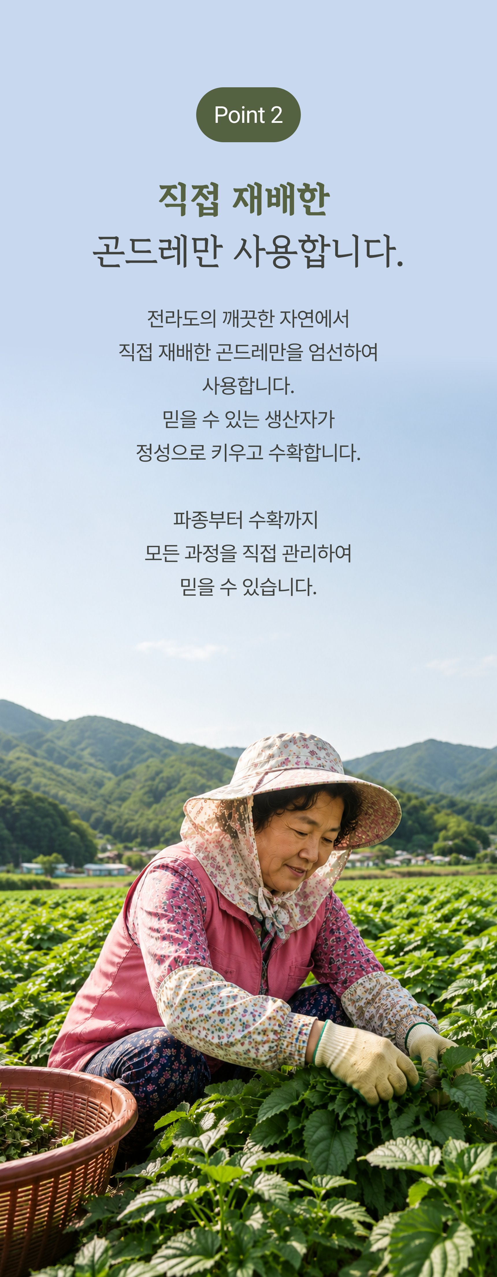 건곤드레 상세 이미지