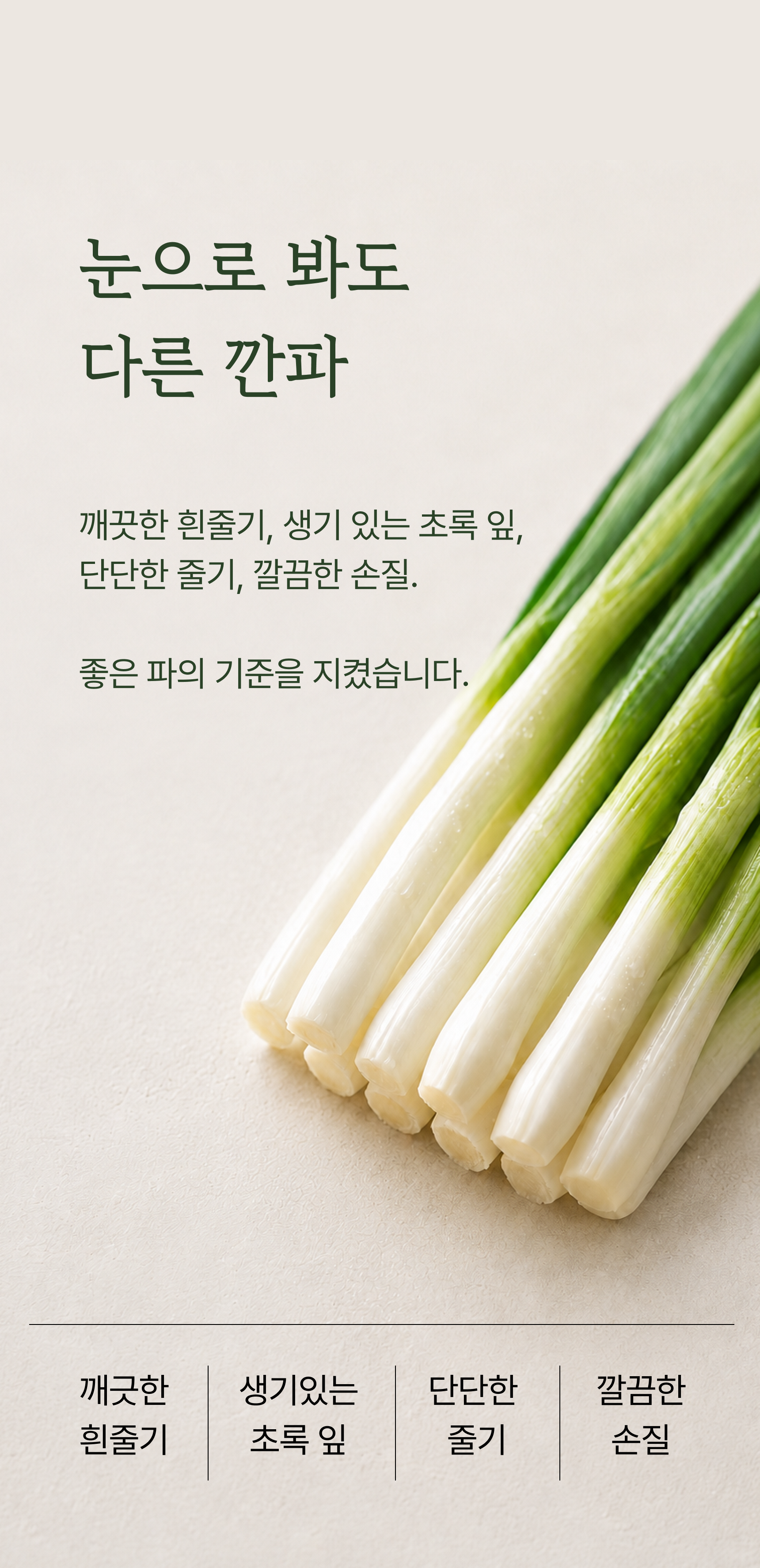 깐파 상세 이미지