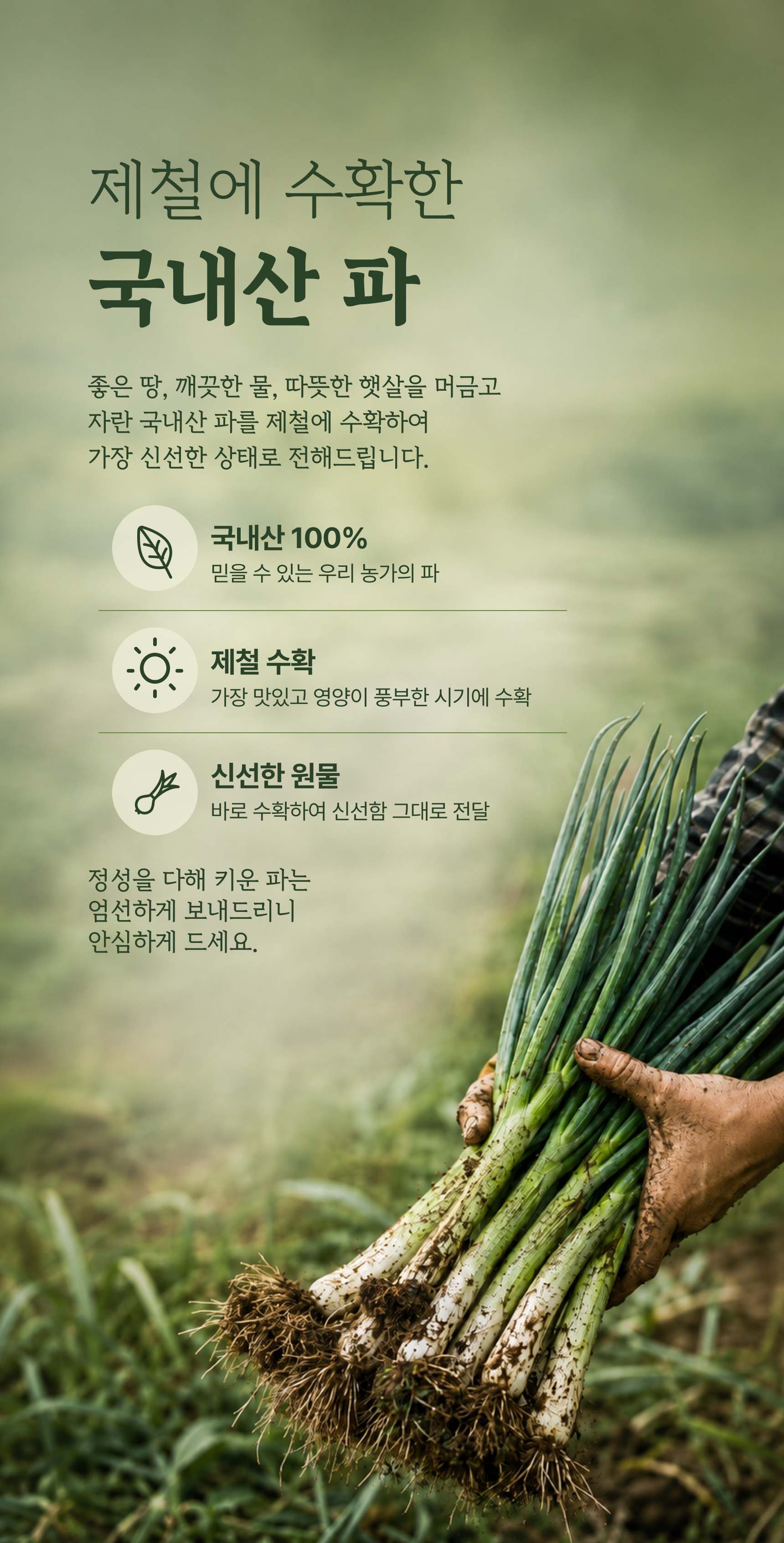 흙파 상세 이미지