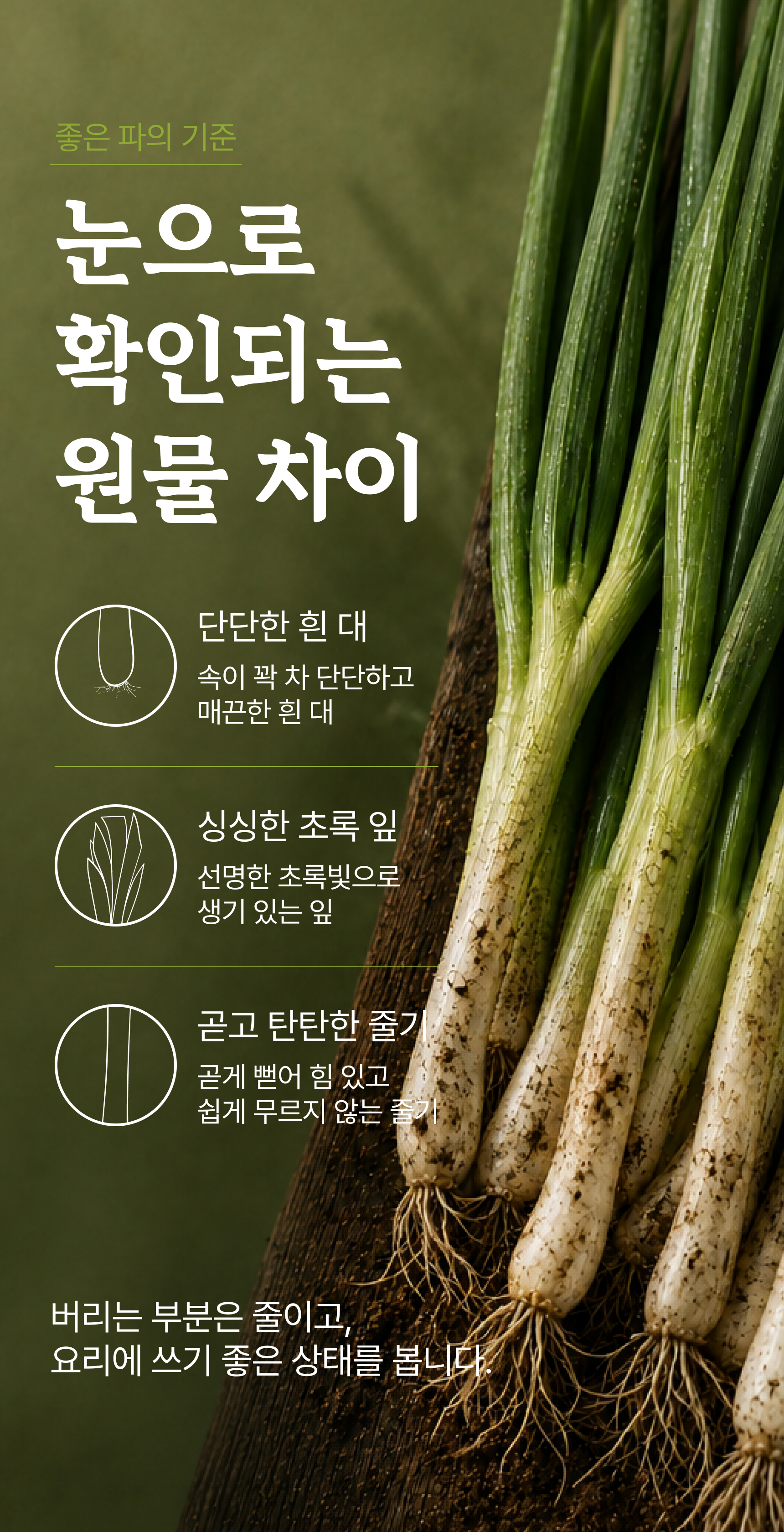 흙파 상세 이미지