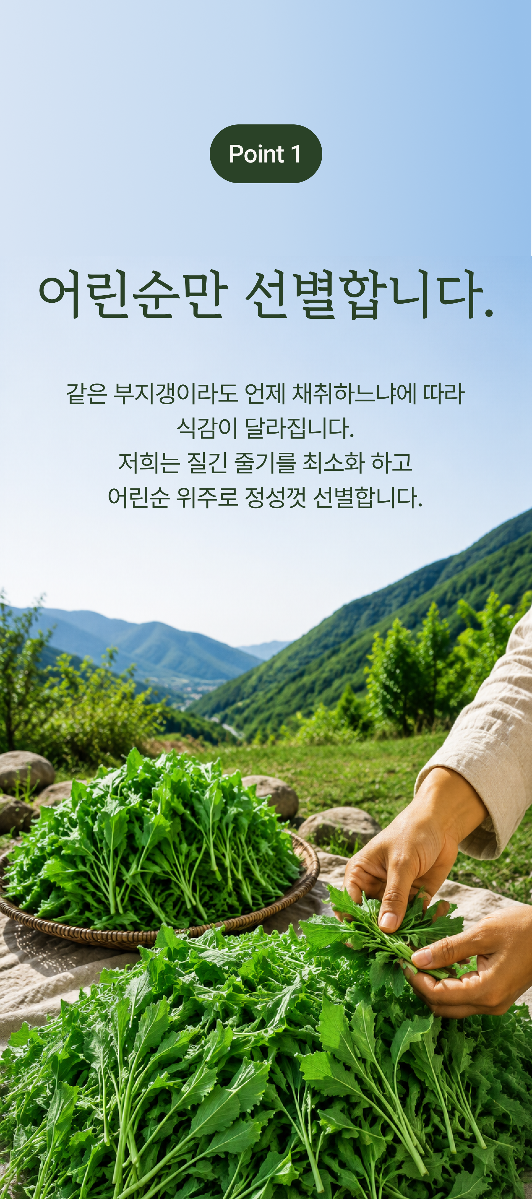 부지갱이 상세 이미지