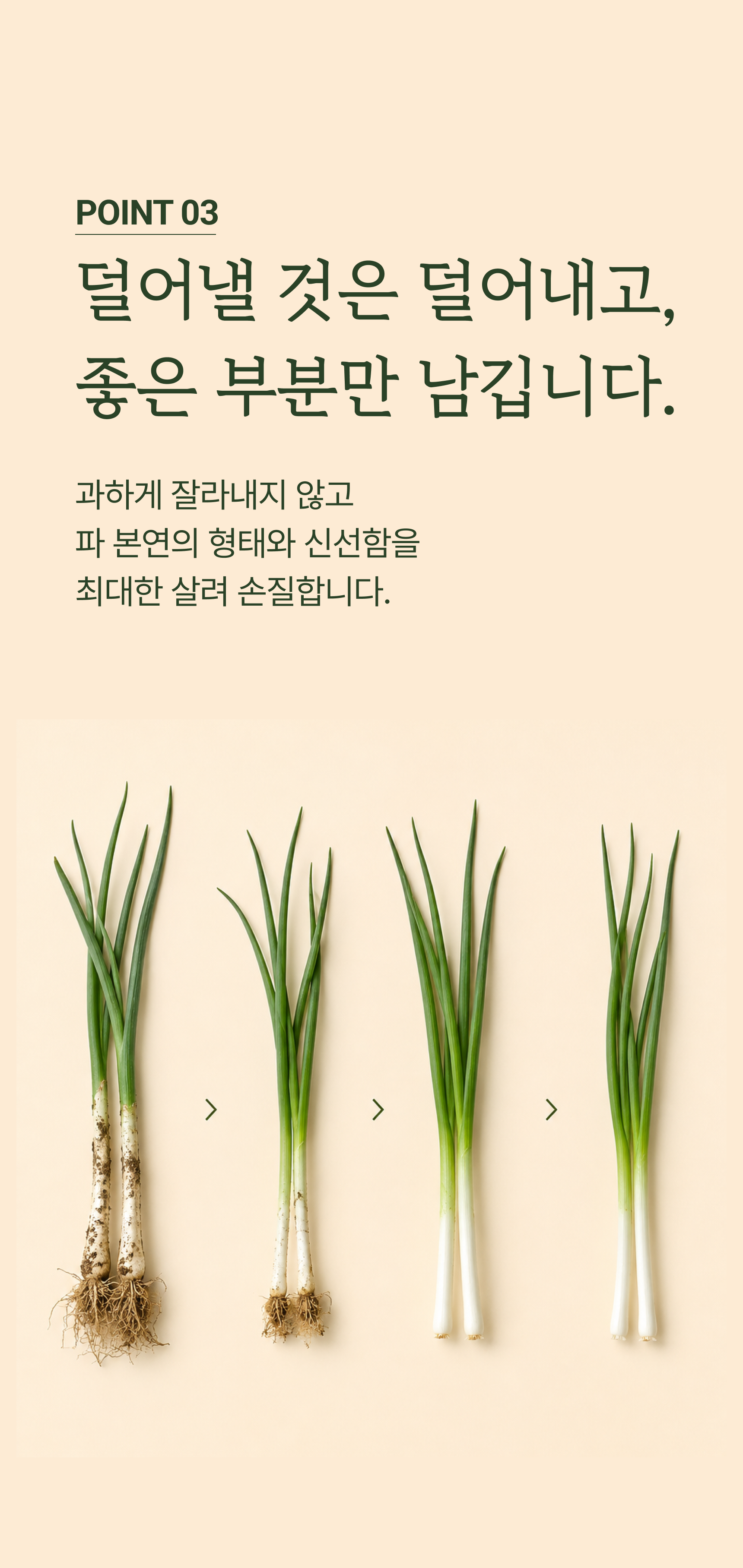 깐파 상세 이미지