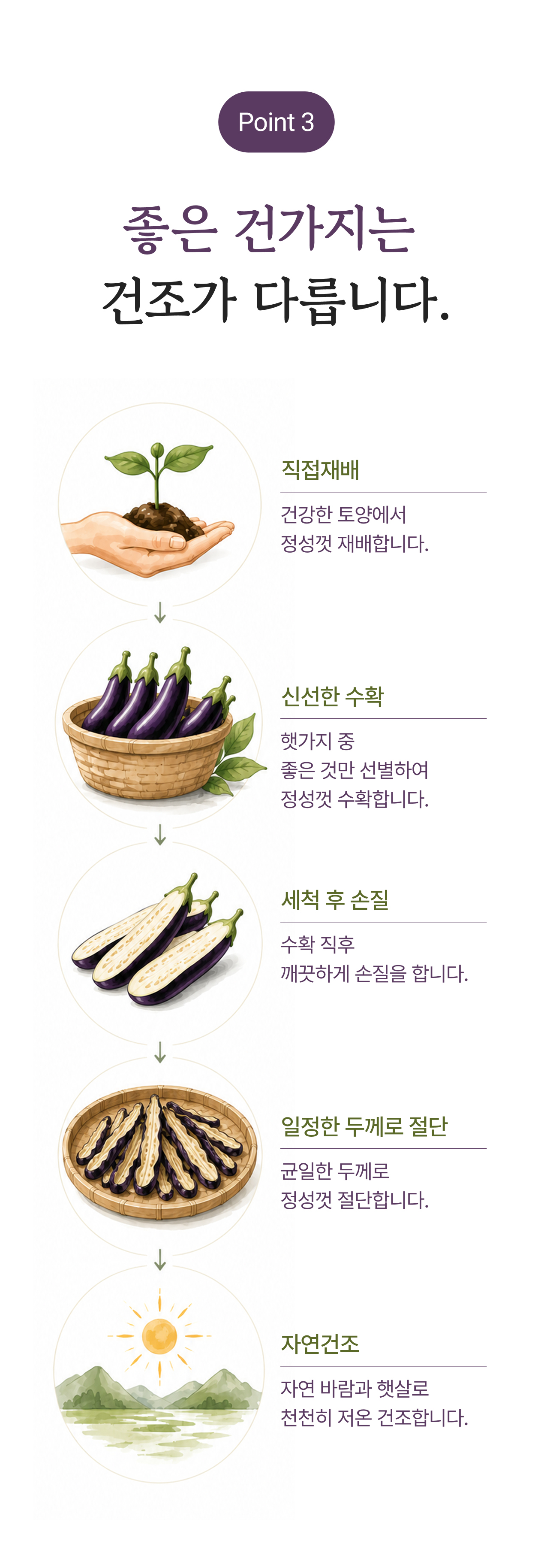 건가지 상세 이미지