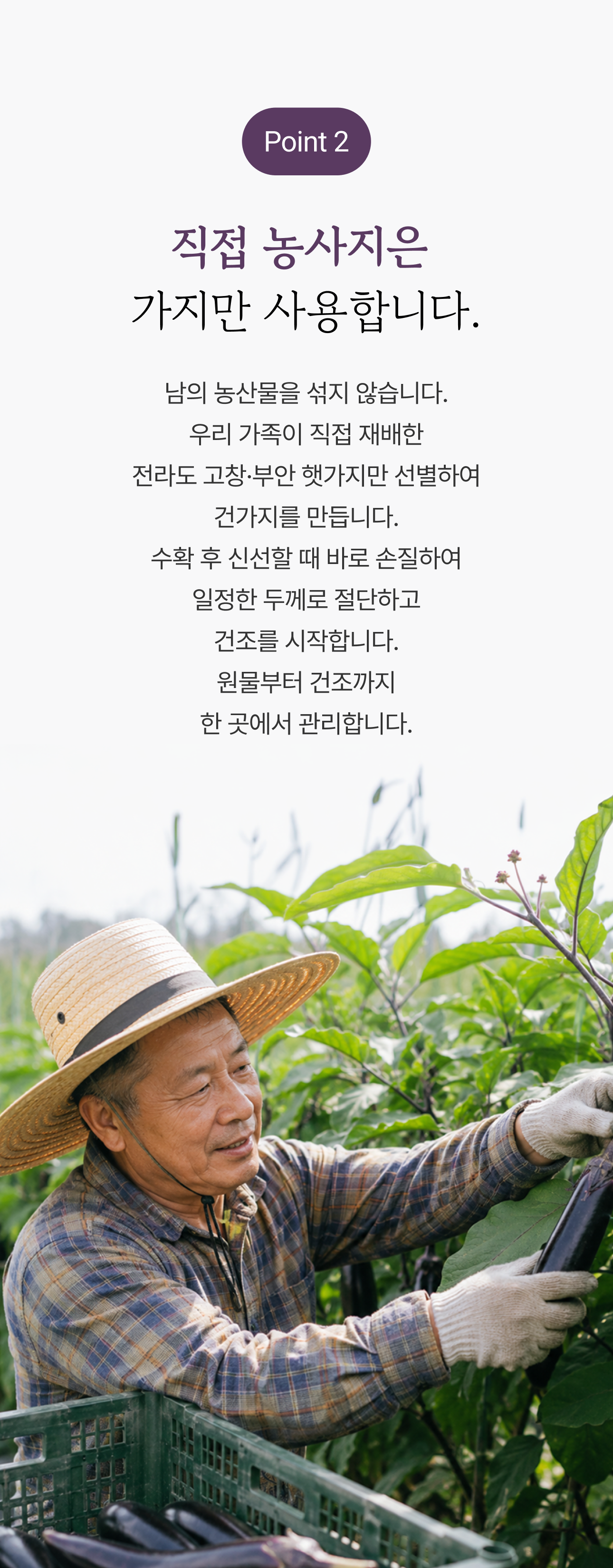 건가지 상세 이미지