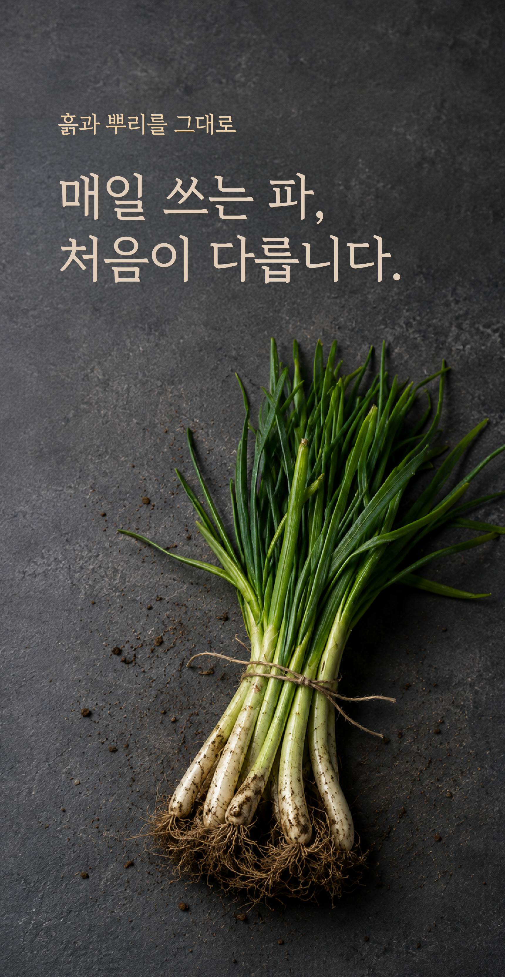 흙파 상세 이미지