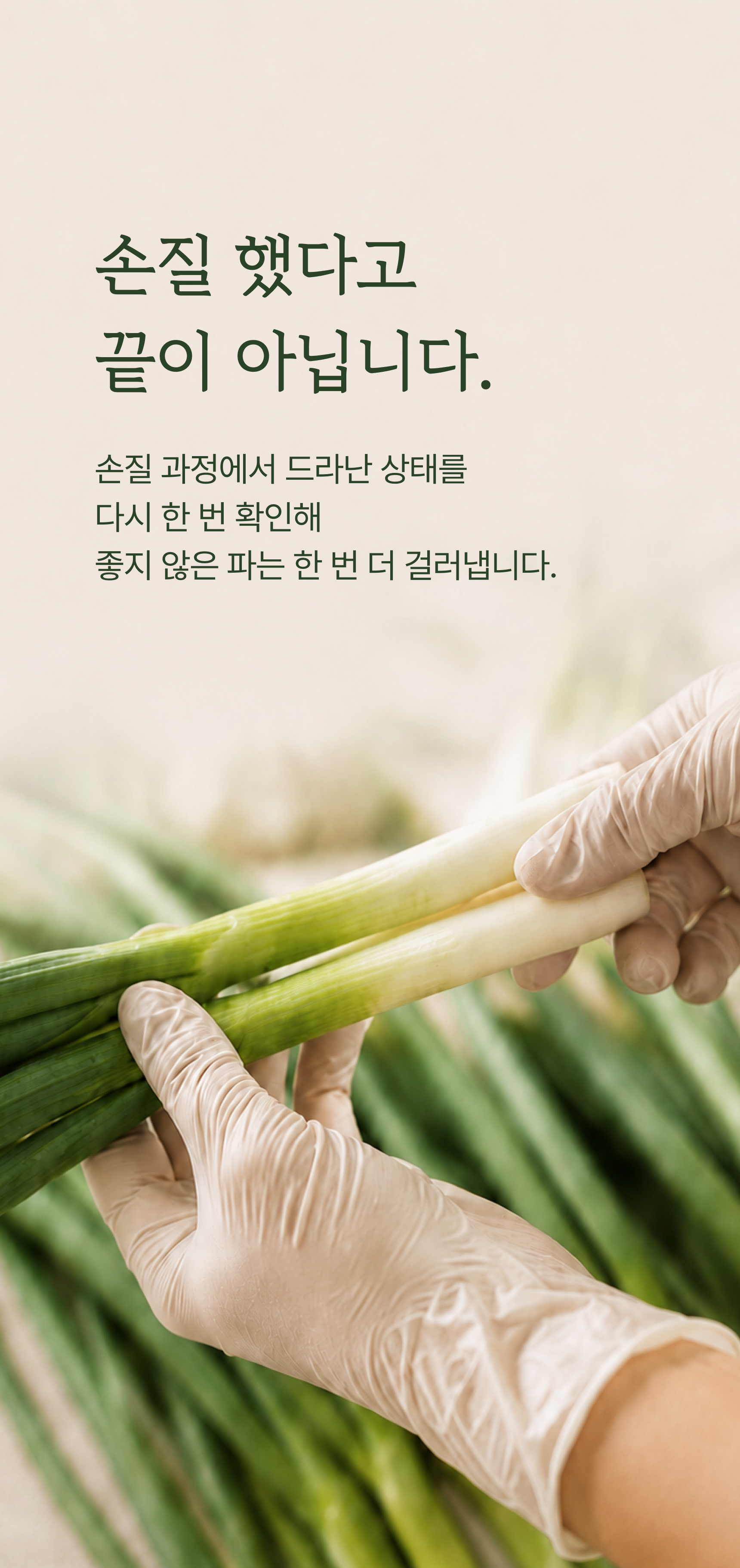 깐파 상세 이미지