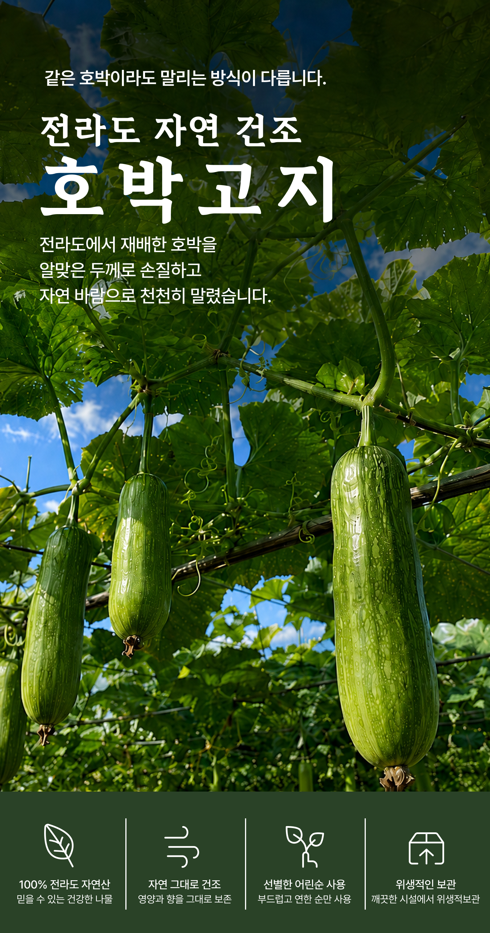 호박고지 상세 이미지